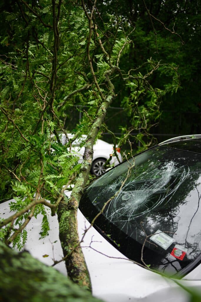 White car with a broken windshield after being hit by a tree