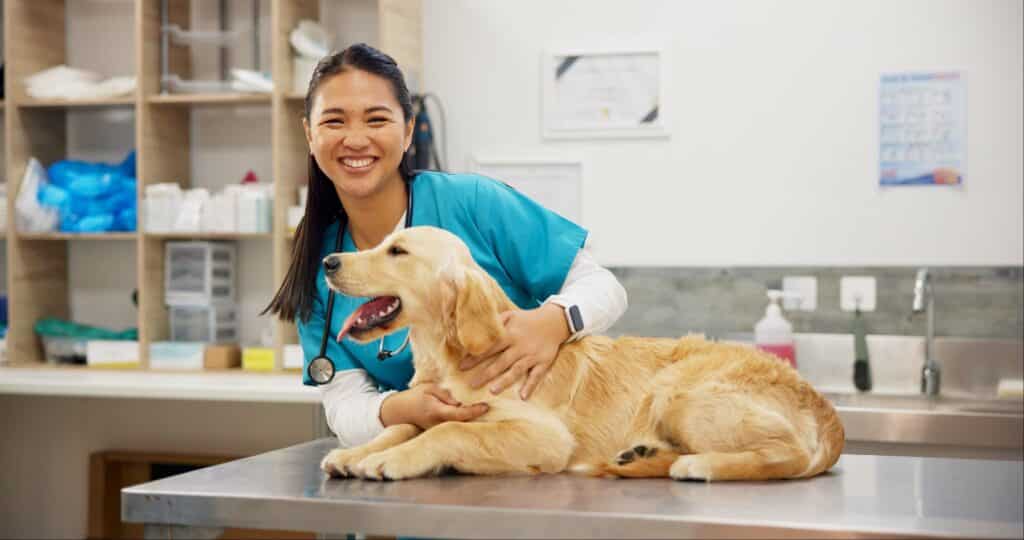 Happy woman, portrait and veterinarian with dog for animal checkup, visit or healthcare at shelter. Young asian female person or veterinary with smile for medical pet care or treatment at clinic.